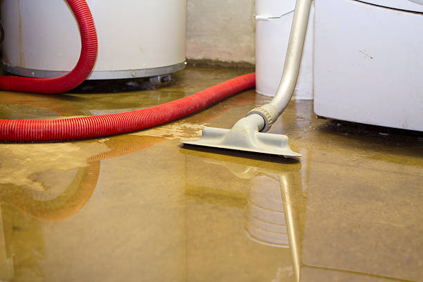 Best Ceiling water damage repair  in Slinger, WI
